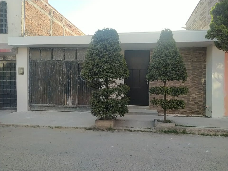 Imagen 3